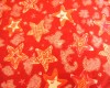 Christmas - Red & White Stars on a Red Background